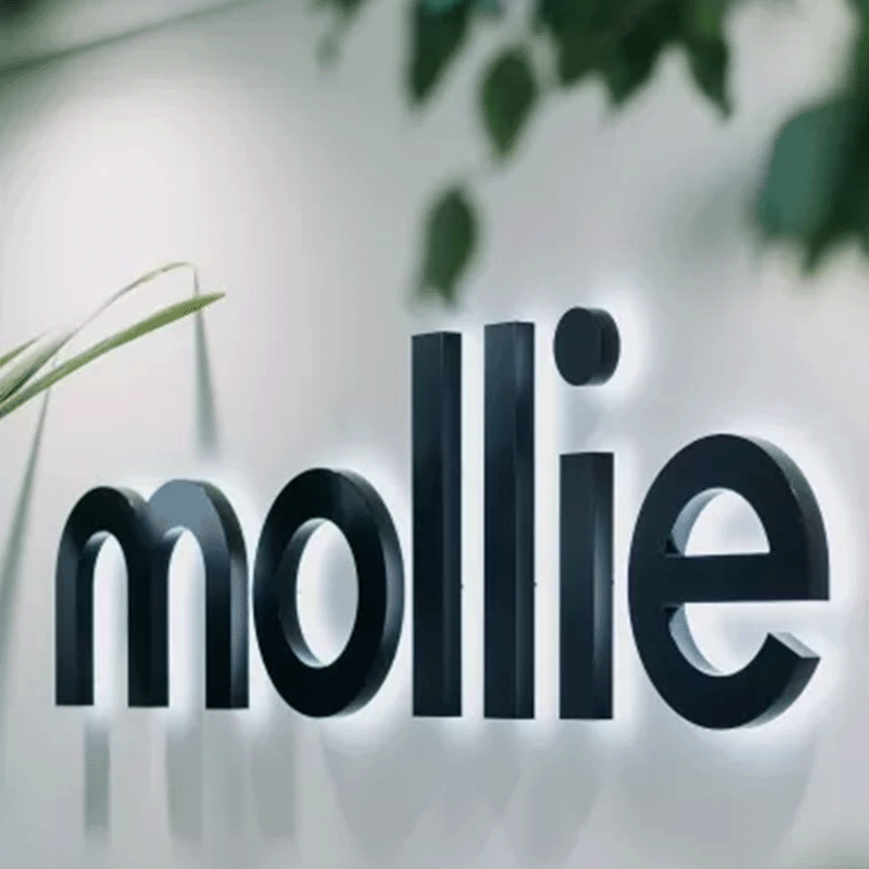 Wat is mollie?